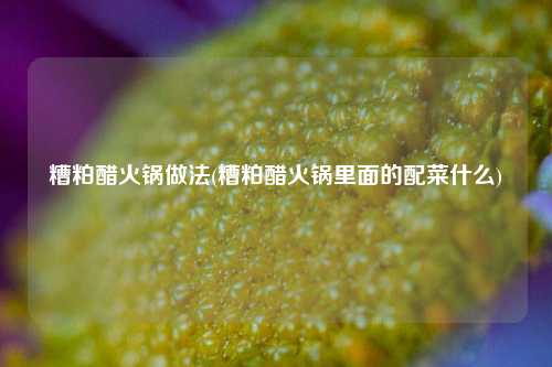 糟粕醋火锅做法(糟粕醋火锅里面的配菜什么)