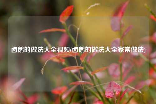 卤鹅的做法大全视频(卤鹅的做法大全家常做法)