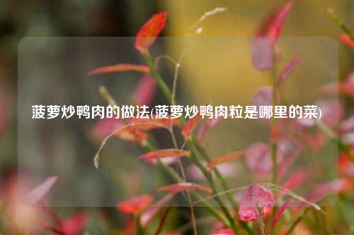 菠萝炒鸭肉的做法(菠萝炒鸭肉粒是哪里的菜)