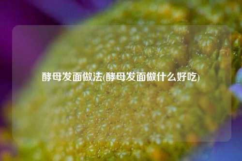 酵母发面做法(酵母发面做什么好吃)