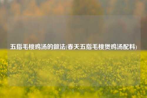 五指毛桃鸡汤的做法(春天五指毛桃煲鸡汤配料)