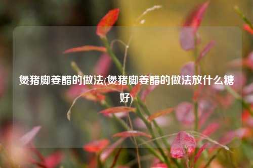 煲猪脚姜醋的做法(煲猪脚姜醋的做法放什么糖好)
