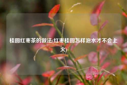 桂圆红枣茶的做法(红枣桂圆怎样泡水才不会上火)
