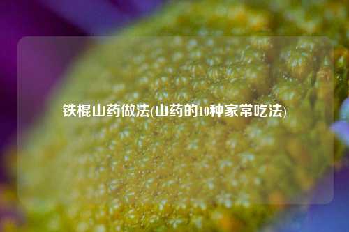 铁棍山药做法(山药的10种家常吃法)