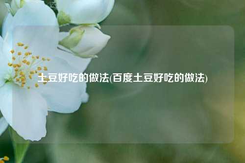土豆好吃的做法(百度土豆好吃的做法)