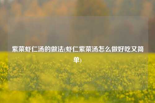 紫菜虾仁汤的做法(虾仁紫菜汤怎么做好吃又简单)