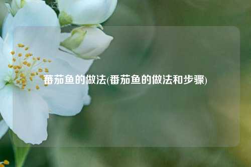 蕃茄鱼的做法(番茄鱼的做法和步骤)