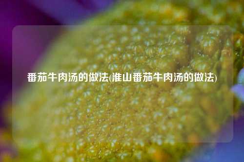 番茄牛肉汤的做法(淮山番茄牛肉汤的做法)