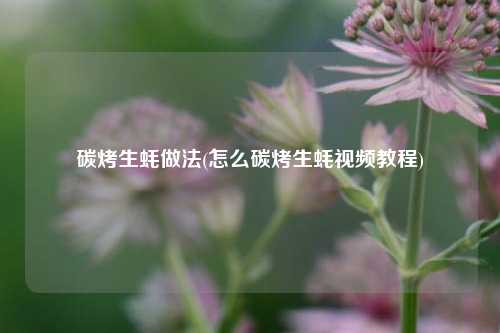 碳烤生蚝做法(怎么碳烤生蚝视频教程)