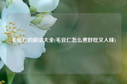 毛豆仁的做法大全(毛豆仁怎么煮好吃又入味)