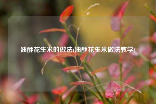 油酥花生米的做法(油酥花生米做法教学)