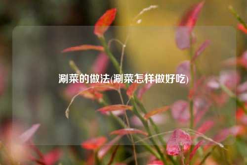 涮菜的做法(涮菜怎样做好吃)